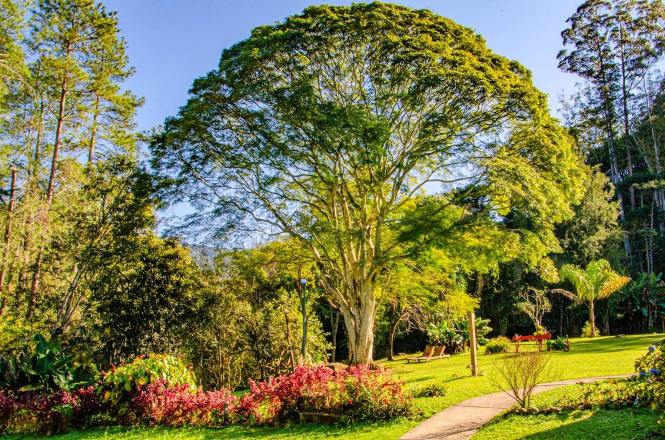 Pousada Pau Brasil فيسكوندي دي ماوا المظهر الخارجي الصورة